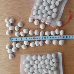 福井のギンナン（銀杏）100ｇ100円の画像