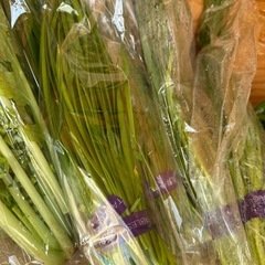 新しい種類の野菜出てますの画像