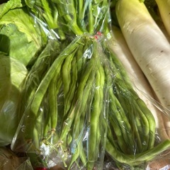 新しい種類の野菜出てますの画像