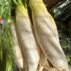 新しい種類の野菜出てますの画像