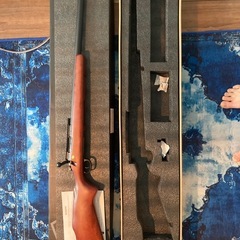 S&T M40の画像