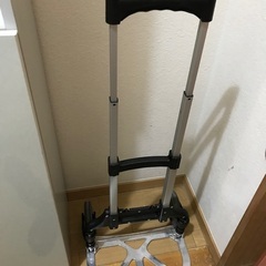ハンドキャリーの画像
