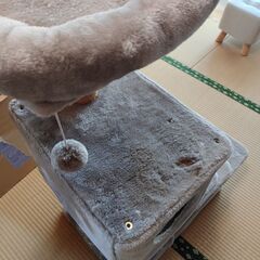 キャットタワーとステップ台の画像