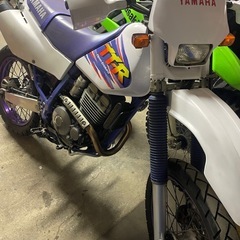 ヤマハ TTR250の画像
