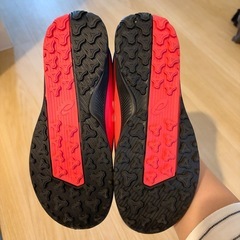 新品 ASICS スニーカー 22.5cmの画像