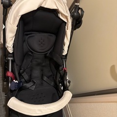ランフィリノン8の画像