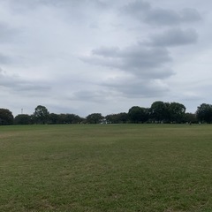 【11/3（祝）】未経験歓迎！フリスビーサークル！  - 江東区