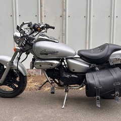【動画あり】マグナ50 エンジン異音ありカスタム車オイルクーラーの画像
