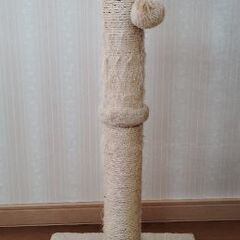 キャットタワーの画像