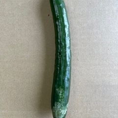 21日昼過ぎまで　野菜　訳ありきゅうり🥒　30kg以上　約25本の画像