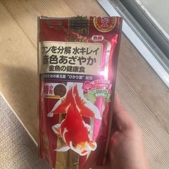 ジャンボオランダの画像