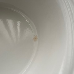 フットバス たらい ホーロー 野田琺瑯 足湯 取手付き ホワイトTA-40の画像