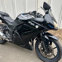 【動画あり】 ニンジャ250R EX250K フォークシール新品