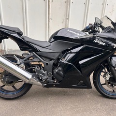 【動画あり】 ニンジャ250R EX250K フォークシール新品の画像