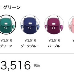 レディーバッグの画像