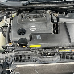 日産ティアナ　平成20年式の画像