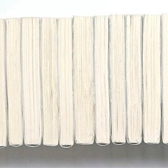バカとテストと召喚獣 1～12巻(全17巻)の画像