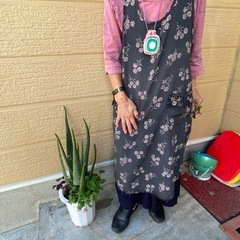観葉植物　アロエベラの画像