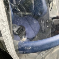 リトルキディーズの画像