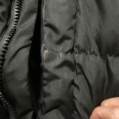 ダウンベスト
の画像