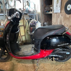 受け渡し予定者決まりました！ホンダ　ジョルノの画像