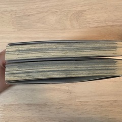 外道の歌 1.2巻の画像