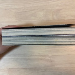 外道の歌 1.2巻の画像