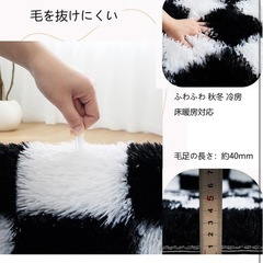 カーペットの画像