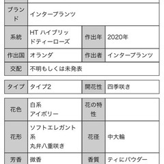 HT パールイヤリング  薔薇の画像