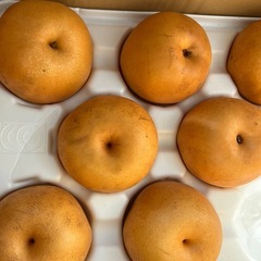 葡萄1箱２キロの画像