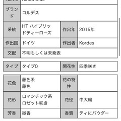 HT カインダブルー　薔薇の画像