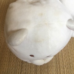 すみっこ　ぬいぐるみ　本の画像