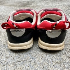 イフミー　15.5cmの画像