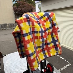 毛布　シングル　女性オーナーでした。でした。の画像