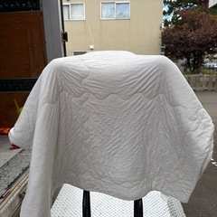 タオルケット　女性オーナーでしたでした　の画像