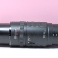 Canon EF 100-300mm F5.6 望遠ズームレンズ　運動会　紅葉　風景の画像