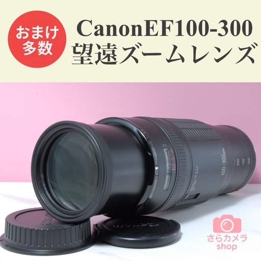 Canon EF 100-300mm F5.6 望遠ズームレンズ運動会紅葉風景 (くり) 山形