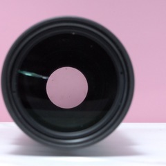 Canon EF 100-300mm F5.6 望遠ズームレンズ　運動会　紅葉　風景の画像