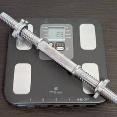 ダンベルシャフト１個 2.3kg 全長45.2cm・直径2.6cm 中古 トレーニング の画像