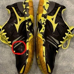 バレーボールシューズ　25cmの画像