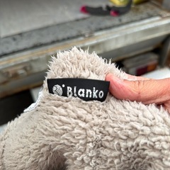 アイリオーヤマ　ブランコ　毛布　女性オーナーでした。でした。の画像