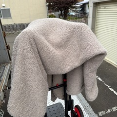 アイリオーヤマ　ブランコ　毛布　女性オーナーでした。でした。の画像
