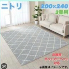 ニトリ やわらか　シャギーラグの画像