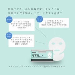 【新品】エピダームプラスマスク25枚入りの画像