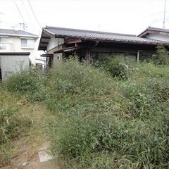戸建ての庭に生えている草を伐採お願いします。の画像