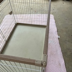 犬の大型ゲージの画像