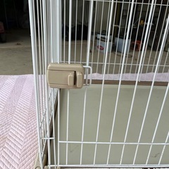 犬の大型ゲージの画像