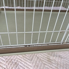 犬の大型ゲージの画像