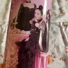 安室奈美恵さん Final Tour 2018 Finally グッズ 貯金箱の画像