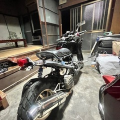 ズーマーAF58 の画像